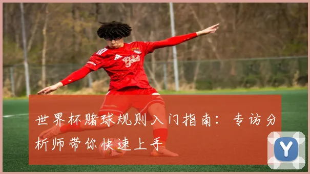 世界杯赌球规则入门指南:专访分析师带你快速上手