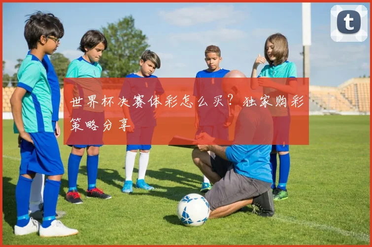 世界杯决赛体彩怎么买？独家购彩策略分享