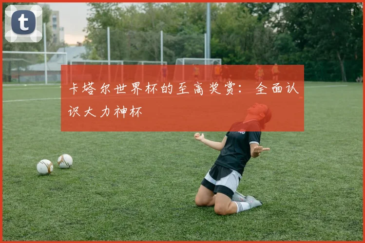 卡塔尔世界杯的至高奖赏:全面认识大力神杯