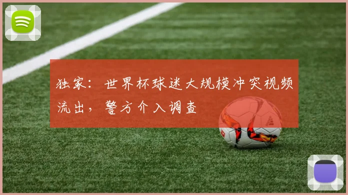 独家：世界杯球迷大规模冲突视频流出，警方介入调查